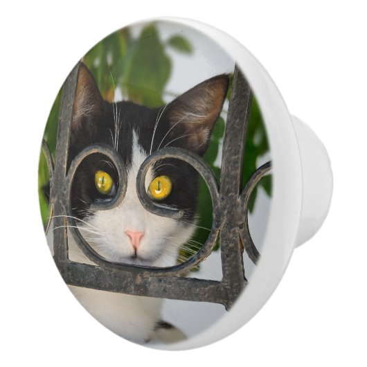 めがねフレームのおもしろいな装飾的の好奇心が強い猫 セラミックノブ (右)