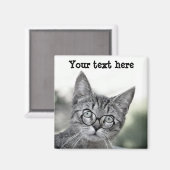 めがねマグネットでかわいい驚き猫 マグネット (正面/裏面)