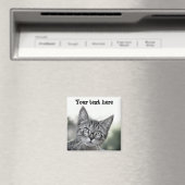 めがねマグネットでかわいい驚き猫 マグネット (インサイチュ (食洗機))