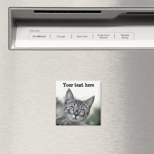 めがねマグネットでかわいい驚き猫 マグネット (インサイチュ (食洗機))