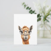 めがね付き可愛いラクダ ポストカード (スタンド正面)