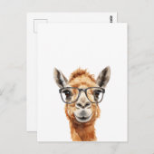 めがね付き可愛いラクダ ポストカード (正面/裏面)