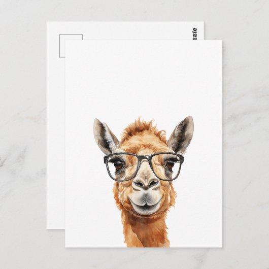 めがね付き可愛いラクダ ポストカード (正面/裏面)