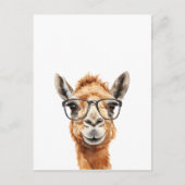 めがね付き可愛いラクダ ポストカード (正面)