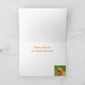 めちゃくちゃな鶏が元気になる カード (内部)