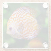 めちゃめちゃ魚の絶景 ガラスコースター (裏面)