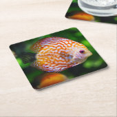 めちゃめちゃ魚の絶景 スクエアペーパーコースター (アングル)