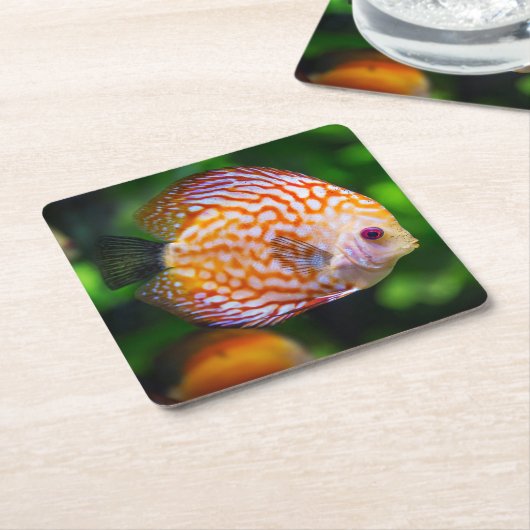 めちゃめちゃ魚の絶景 スクエアペーパーコースター (アングル)