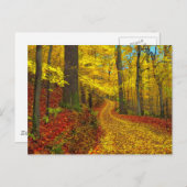 めったに使われない道、はがき ポストカード (正面/裏面)