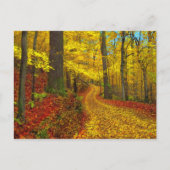 めったに使われない道、はがき ポストカード (正面)