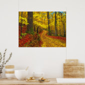 めったに使用されない道路、プリント ポスター (キッチン)