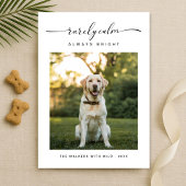 めったに落ち着かない常に明るい可愛い犬の写真クリスマス シーズンカード