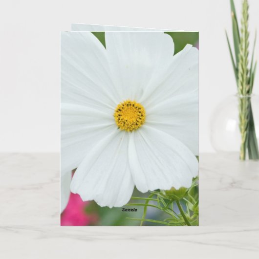 めでたい花 カード (裏面)