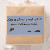 めまい熊とことわざをレッテルを貼る ラベル (インサイチュ)