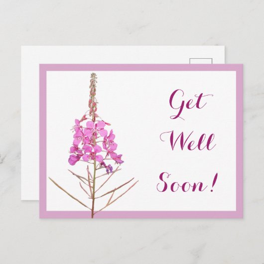 もうすぐピンクかわいらしの花の美しいフローラ ポストカード (正面/裏面)