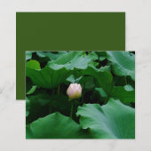 もうすぐ咲く (正面/裏面)