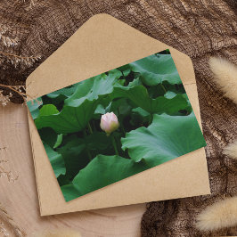 もうすぐ咲く カード