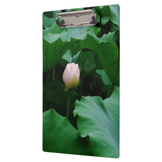 もうすぐ咲く クリップボード (左)