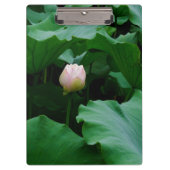 もうすぐ咲く クリップボード (正面)