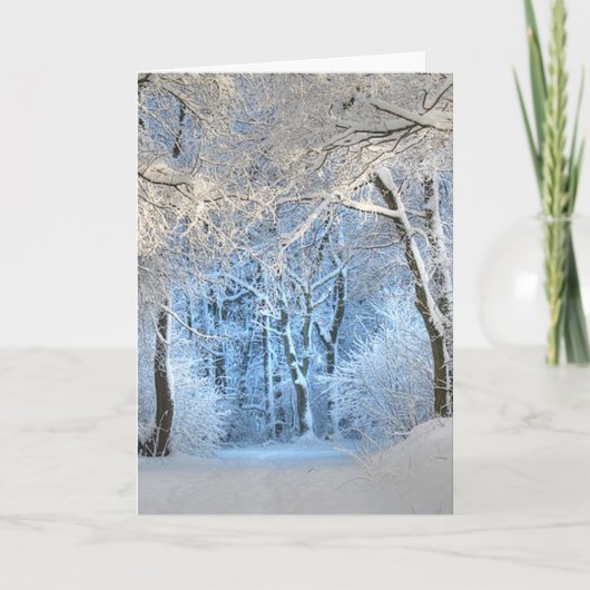 もう一つの冬の不思議の国 シーズンカード (正面)