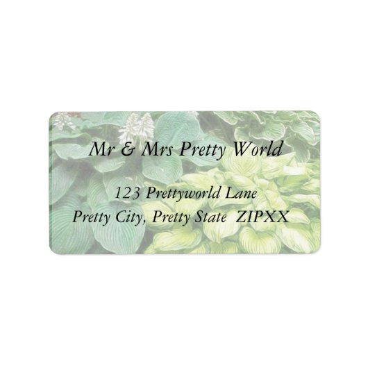 もう一つホスタだ! ラベル (正面)