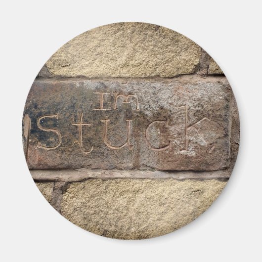 もう一つ壁にれんががが詰まった マグネット (正面)