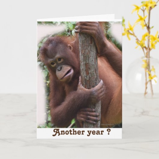 もう一つ祝誕生日 カード (黄色い花)