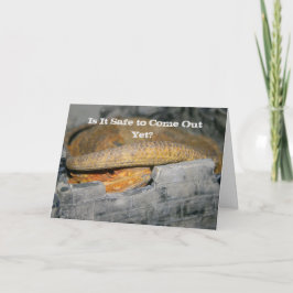 もう安全なの？ビード・ドラゴン カード