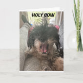 もう終わ信じら!U R "40" カード (正面)