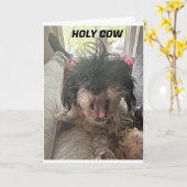 もう終わ信じら!U R "40" カード (黄色い花)