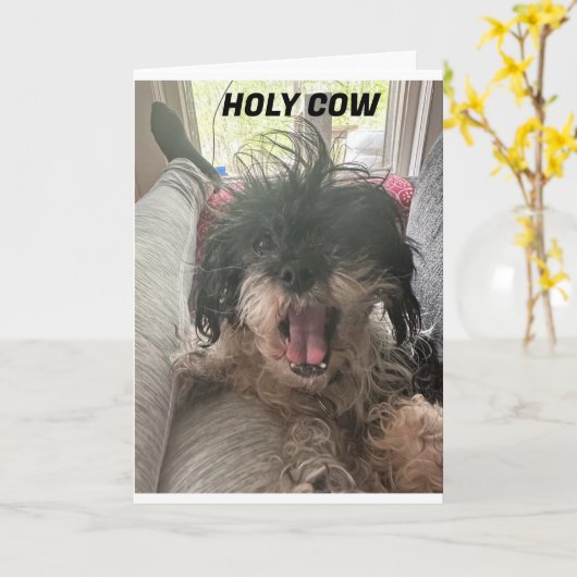 もう終わ信じら!U R "40" カード (黄色い花)