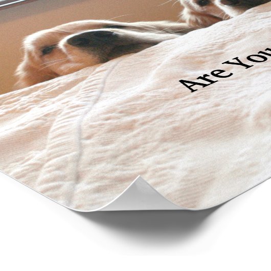 もう起きてる?ゴールデンレトリバー ポスター (角)