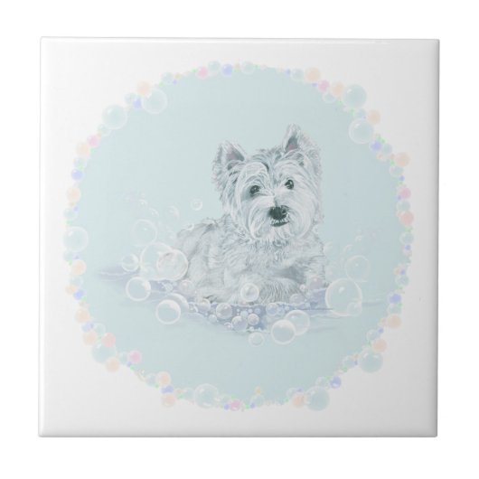 もう風呂に入らないで タイル (正面)