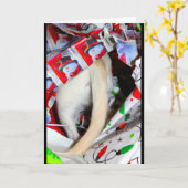 もう1年の最後の最後に達した カード (黄色い花)