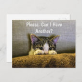 もう1杯いい？ 子おもしろい猫 ポストカード (正面/裏面)