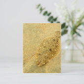 もがき ポストカード (スタンド正面)