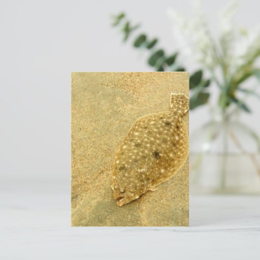 もがき ポストカード (スタンド正面)