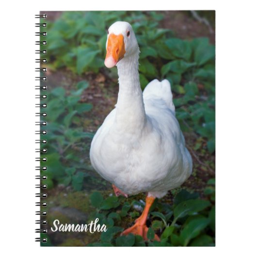 もくせい スパイラル ノート (正面)