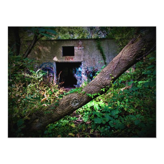 「もしあなたは入熱狂する力」 フォトプリント            (正面)