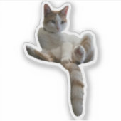 もしかして隠した方がいいかも?猫 シール (正面)