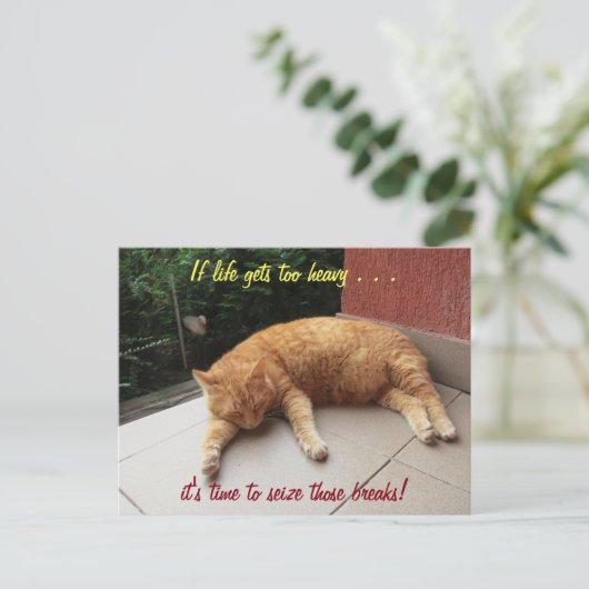 もしハガキ猫の寿命が感動的重すぎる ポストカード (スタンド正面)