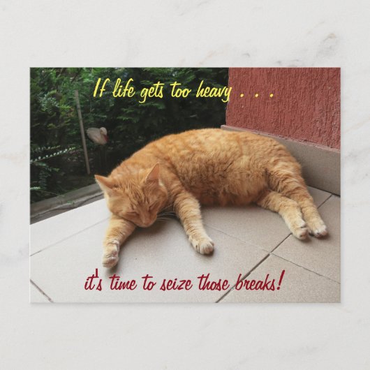 もしハガキ猫の寿命が感動的重すぎる ポストカード (正面)