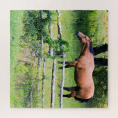 もっと乗る – 心配の無い – ホースランチ – 20x20 ジグソーパズル (横)