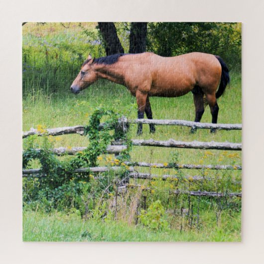 もっと乗る – 心配の無い – ホースランチ – 20x20 ジグソーパズル (縦)