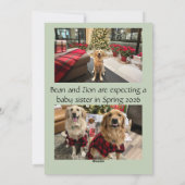 もっと人が集まって 赤ちゃん誕生のクリスマス発表カード シーズンカード (裏面)