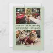 もっと喜びを期待して ホリデーカード (裏面)