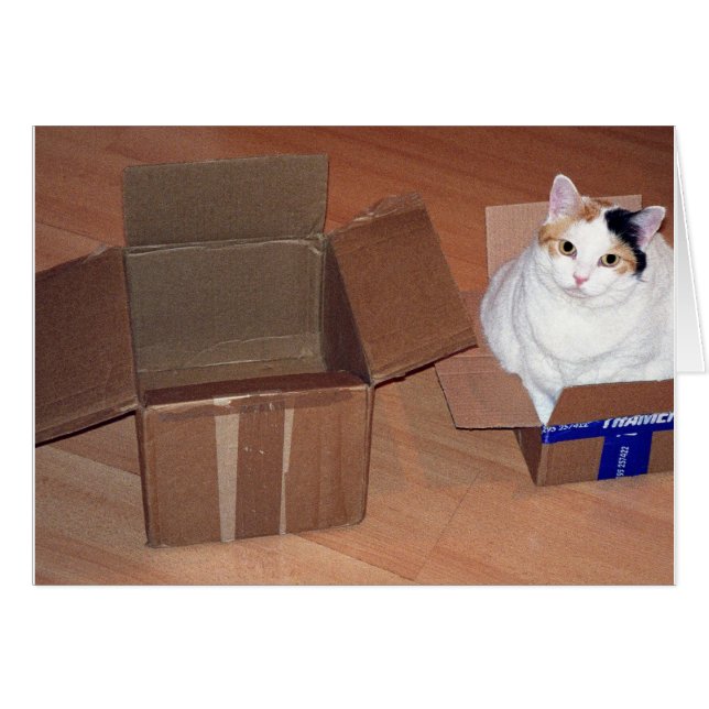 もっと大きいサイズが必要だと言うのか？ (正面横)