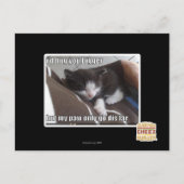 もっと大きく抱きしめてやろう ポストカード (正面)