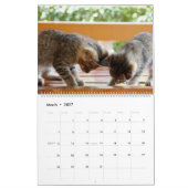 もっと子猫の壁掛けカレンダー - HAMbyWG カレンダー (3月 2027)