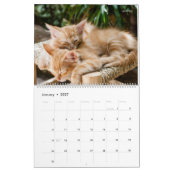 もっと子猫の壁掛けカレンダー - HAMbyWG カレンダー (1月 2027)